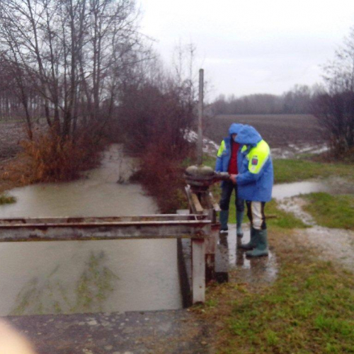 Interventi volontari n. 10 / 103777