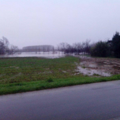 Interventi volontari n. 11 / 103778