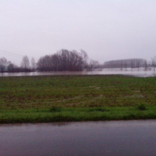 Interventi volontari n. 12 / 103779