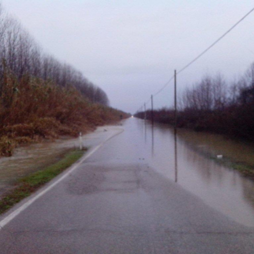 Interventi volontari n. 13 / 103780