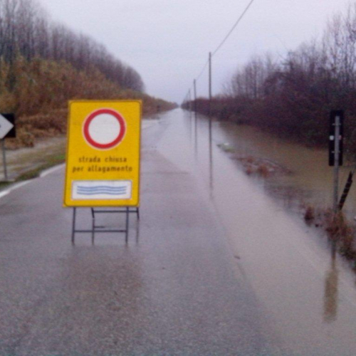 Interventi volontari n. 14 / 103781