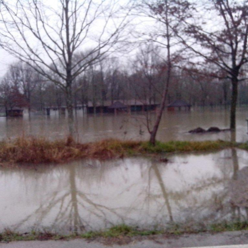 Interventi volontari n. 15 / 103782