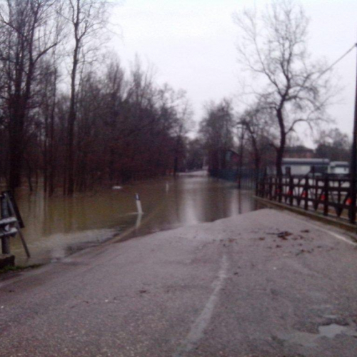 Interventi volontari n. 17 / 103784