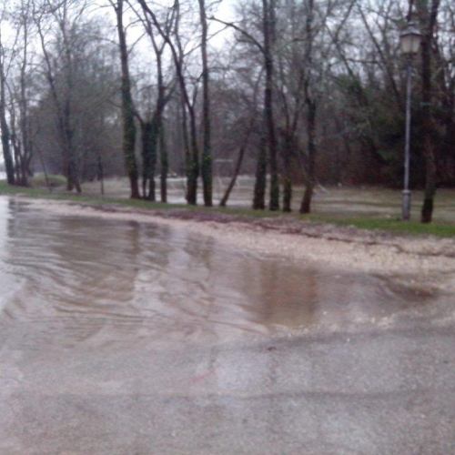 Interventi volontari n. 18 / 103785