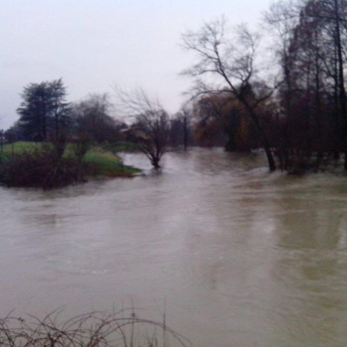 Interventi volontari n. 19 / 103786