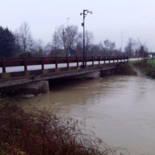 Interventi volontari n. 20 / 103787