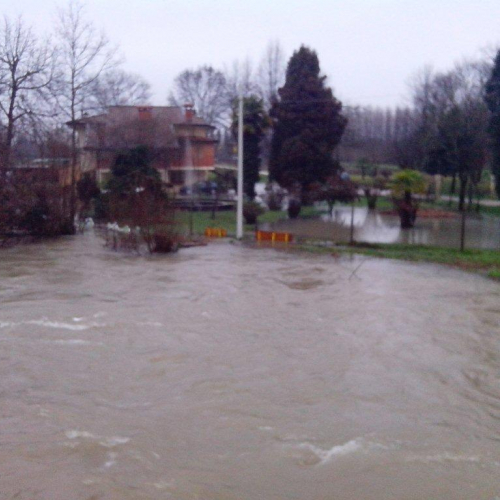 Interventi volontari n. 21 / 103788