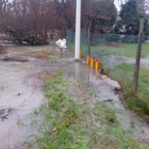 Interventi volontari n. 22 / 103789