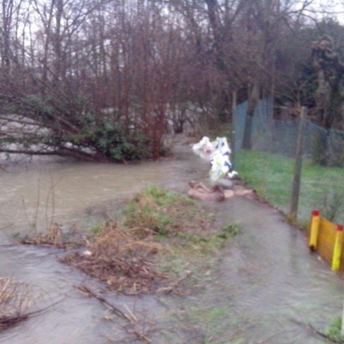 Interventi volontari n. 23 / 103790