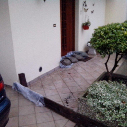 Interventi volontari n. 24 / 103791