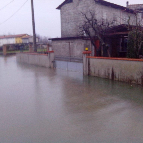 Interventi volontari n. 26 / 103793