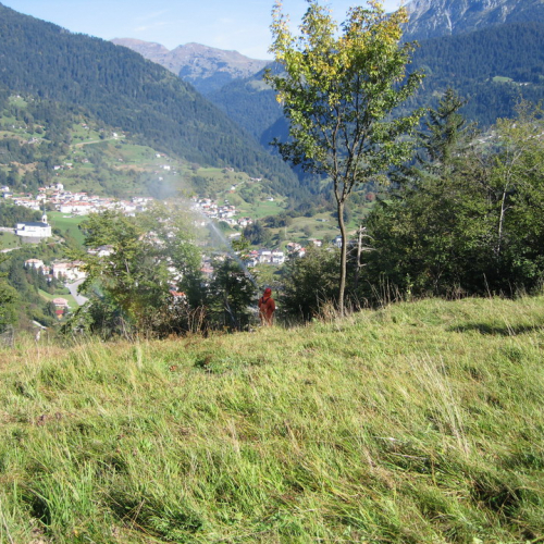 foto Paularo 17 / 17612