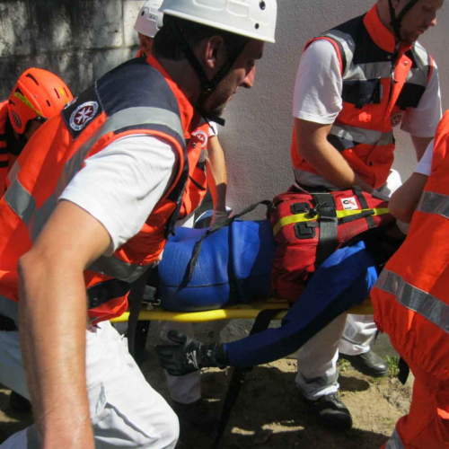 Attivit‡ di supporto Sagra dei Osei" n. 22""ttivit‡ di supporto """" / 69824