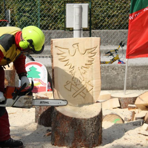 Esercitazione AIB 20.09.2008 5 / 29885