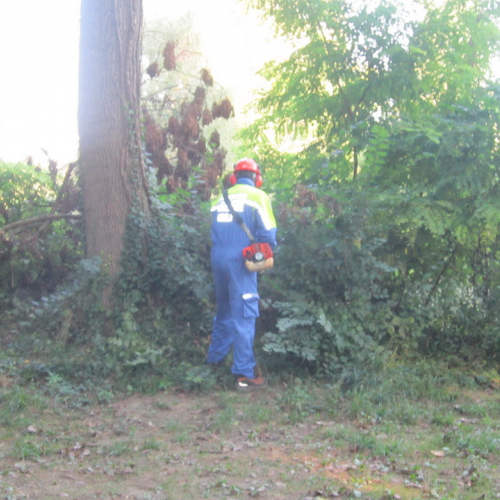 Addestramento del 07/09/13 n. 5 / 99334