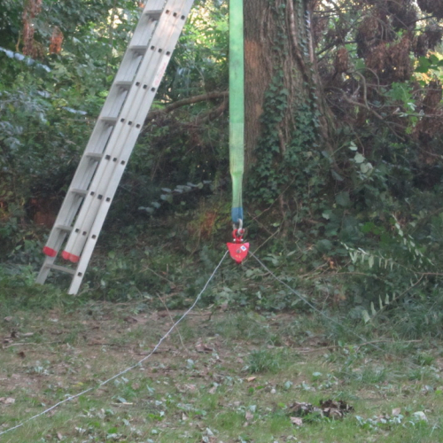 Addestramento del 07/09/13 n. 7 / 99336