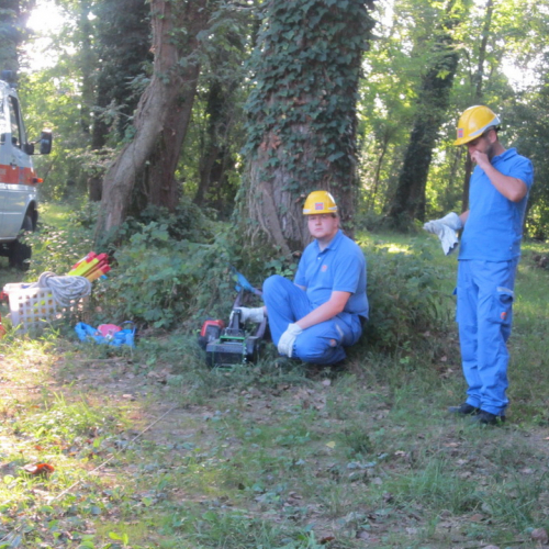 Addestramento del 07/09/13 n. 9 / 99338