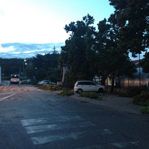 Sgonico 21/08/2014 foto n.4 / 110782