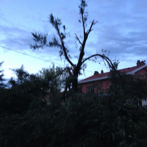 Sgonico 21/08/2014 foto n.5 / 110783