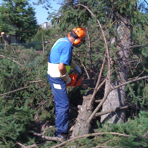 Attivit‡ addestrativa 03/09/11 n. 21 / 69994