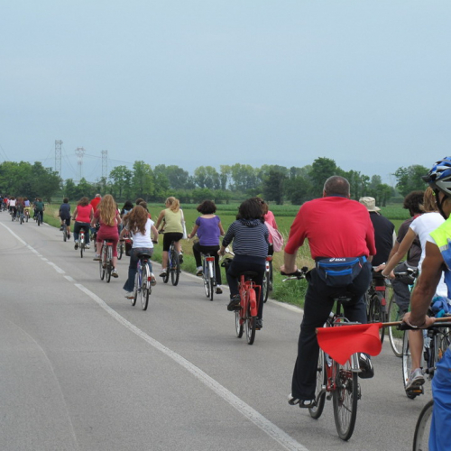 Ciclopedalata  2009 n.16 / 39954