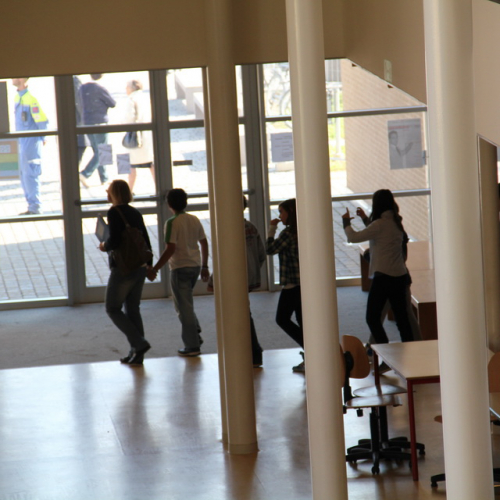 Prova di evacuazione scuola di Mirandola n. 13 / 87869