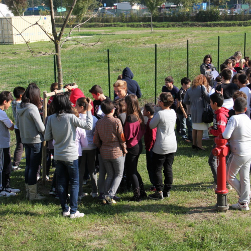 Prova di evacuazione scuola di Mirandola n. 21 / 87877