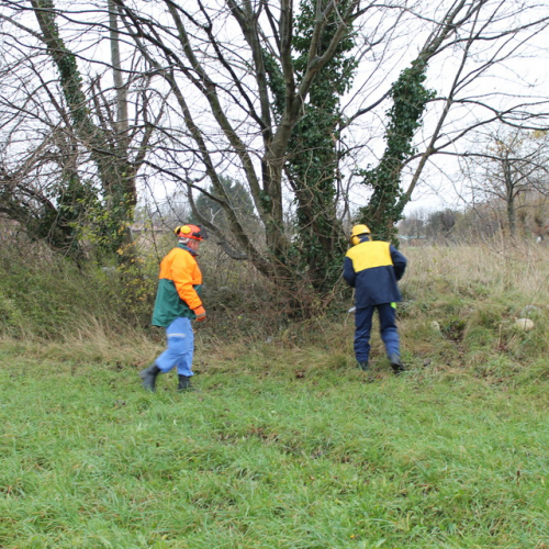 Attivit‡ addestrativa 23/11 n. 7 / 102488