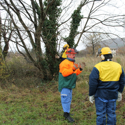 Attivit‡ addestrativa 23/11 n. 8 / 102489