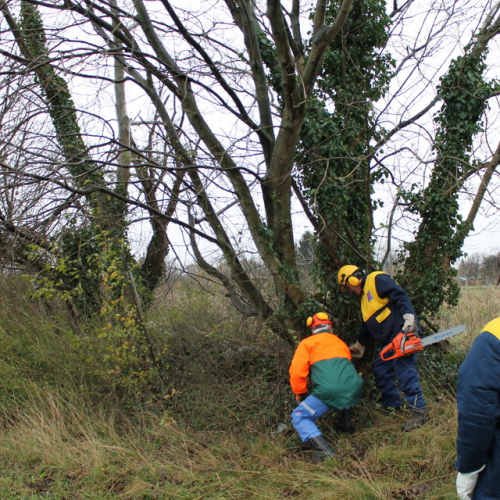 Attivit‡ addestrativa 23/11 n. 9 / 102490