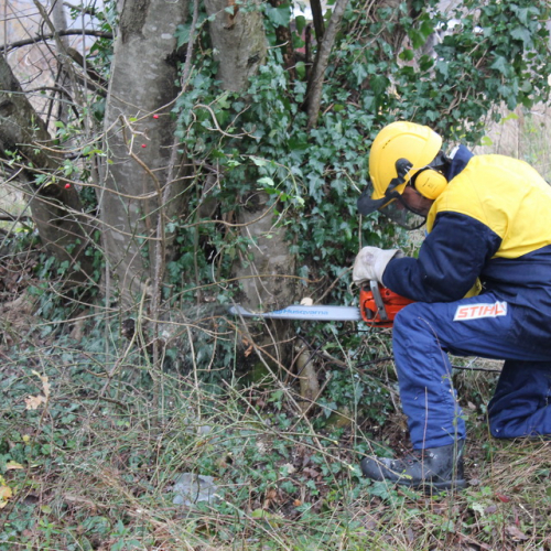 Attivit‡ addestrativa 23/11 n. 10 / 102491