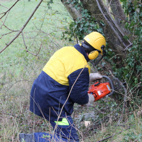 Attivit‡ addestrativa 23/11 n. 13 / 102494