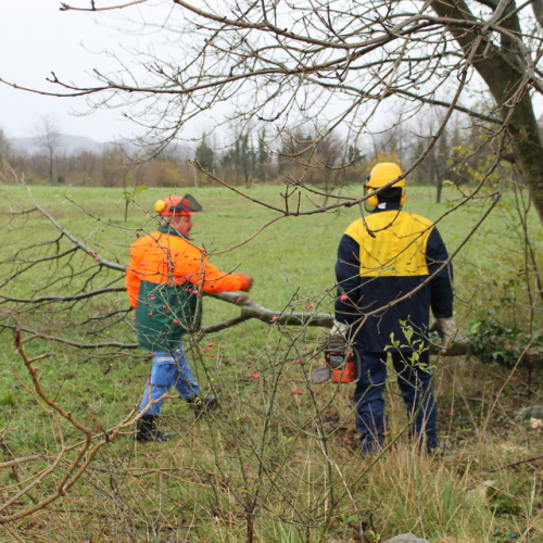 Attivit‡ addestrativa 23/11 n. 14 / 102495