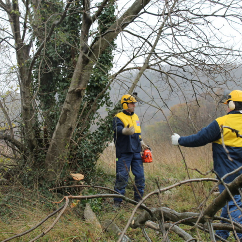 Attivit‡ addestrativa 23/11 n. 15 / 102496