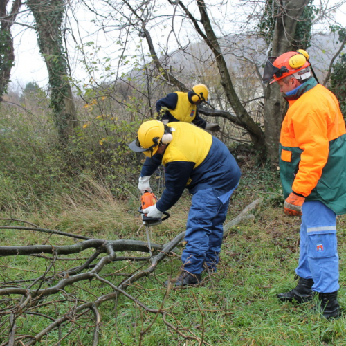 Attivit‡ addestrativa 23/11 n. 16 / 102497