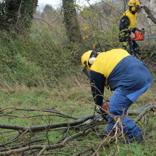 Attivit‡ addestrativa 23/11 n. 17 / 102498