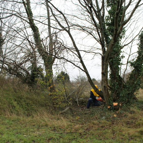 Attivit‡ addestrativa 23/11 n. 21 / 102502