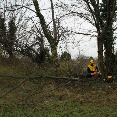 Attivit‡ addestrativa 23/11 n. 23 / 102504