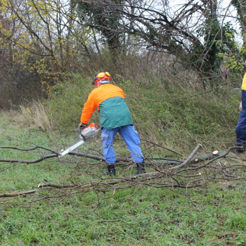 Attivit‡ addestrativa 23/11 n. 26 / 102507