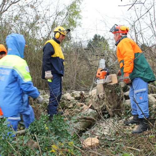 Attivit‡ addestrativa 23/11 n. 38 / 102519