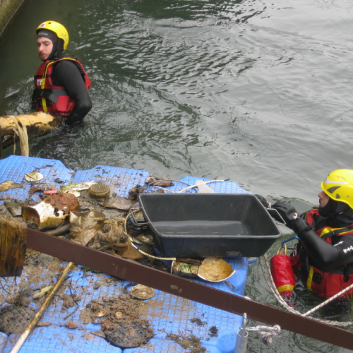 Attivit‡ di prevenzione 30/03/13 n. 7 / 93834