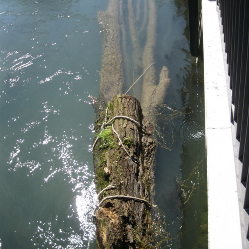 Attivit‡ di prevenzione 13/04/13 n. 2 / 93821