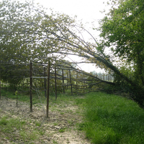 Attivit‡ di prevenzione 19/04/13 n. 1 / 93847