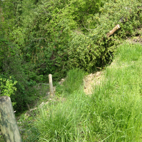 Attivit‡ di prevenzione 19/04/13 n. 2 / 93848