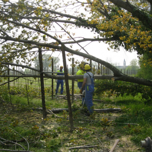 Attivit‡ di prevenzione 19/04/13 n. 3 / 93849