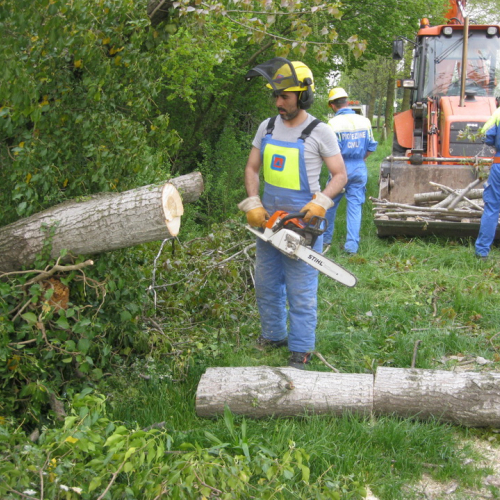 Attivit‡ di prevenzione 19/04/13 n. 4 / 93850