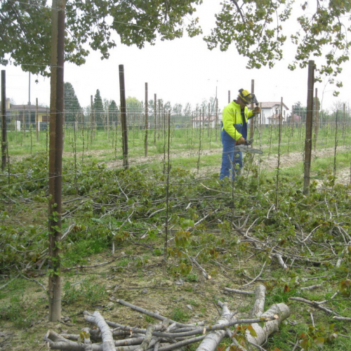 Attivit‡ di prevenzione 19/04/13 n. 5 / 93851