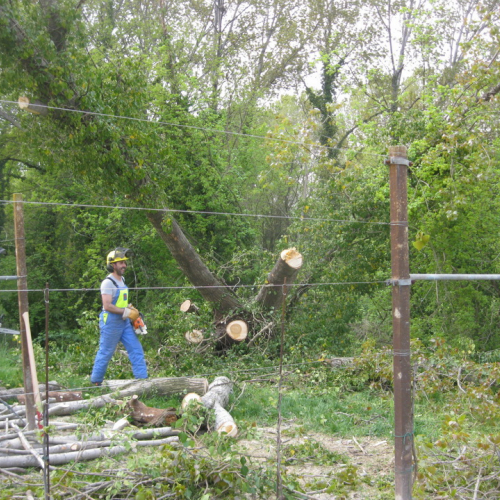 Attivit‡ di prevenzione 19/04/13 n. 6 / 93852