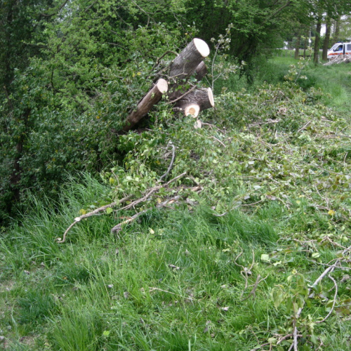 Attivit‡ di prevenzione 19/04/13 n. 7 / 93853