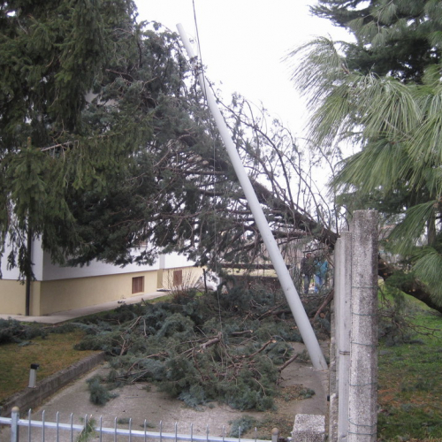 Interventi maltempo 10/03 n. 23 / 49141